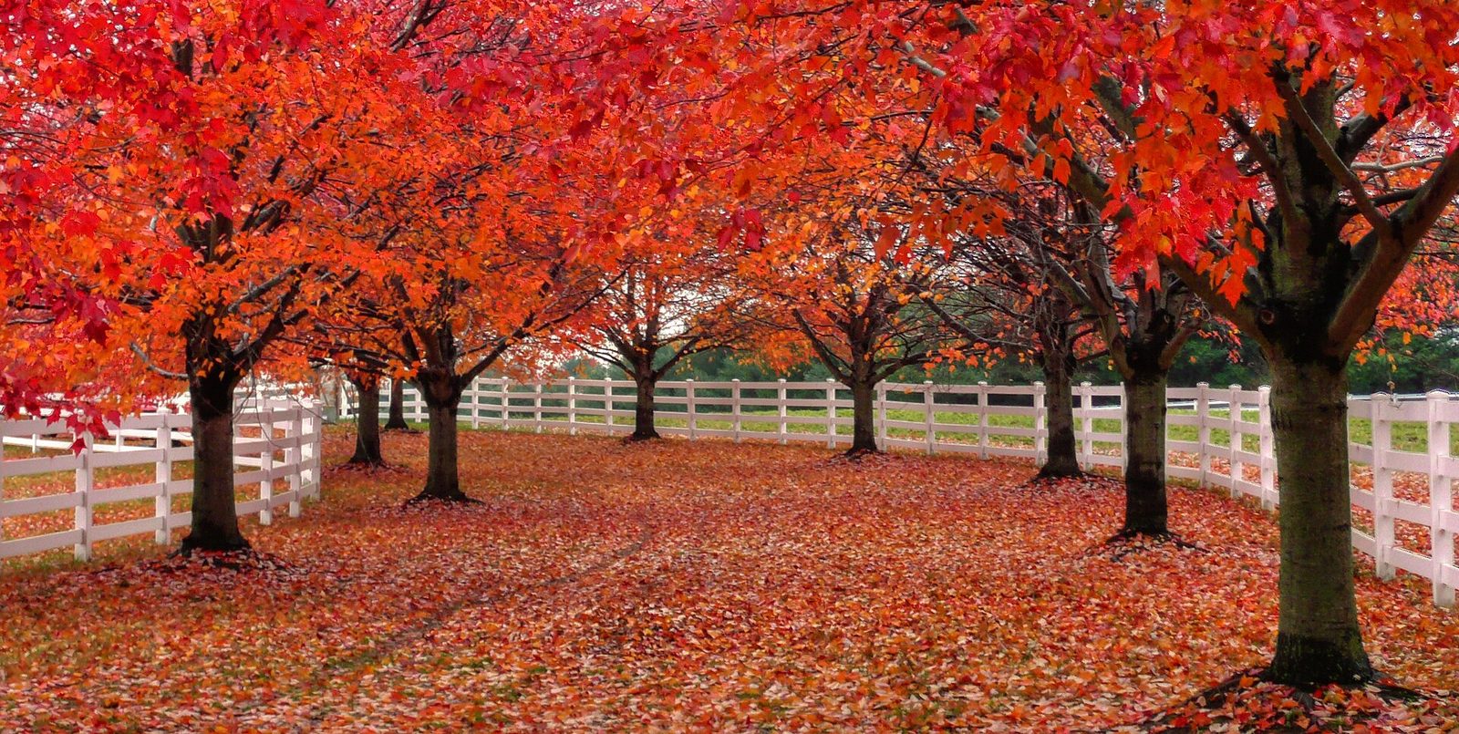 Colts Neck, New Jersey